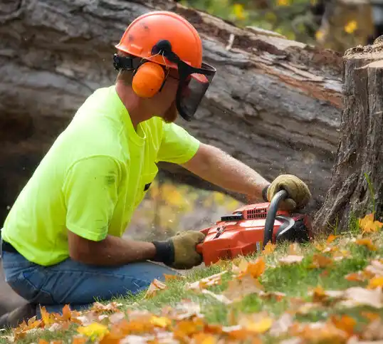 tree services Houghton Lake